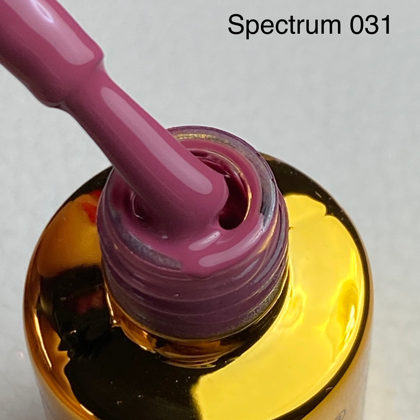 Spectrum 031 Shy