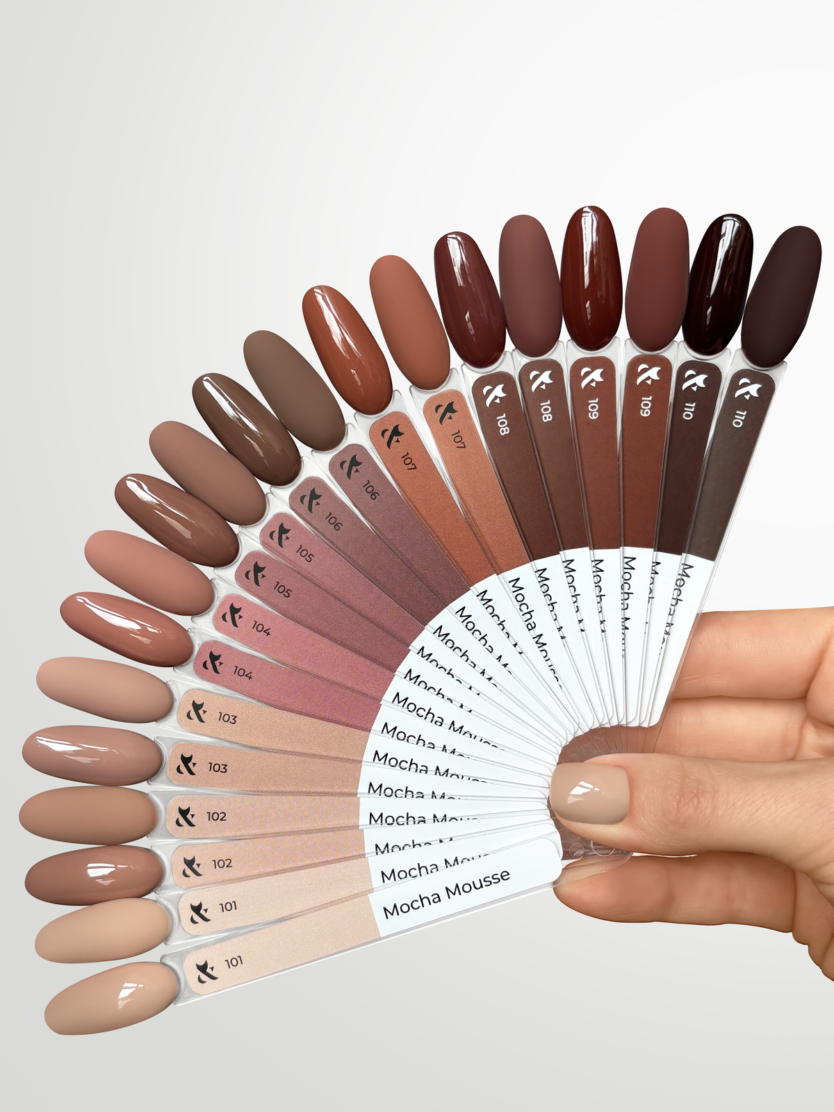 Pack Moccha Mousse